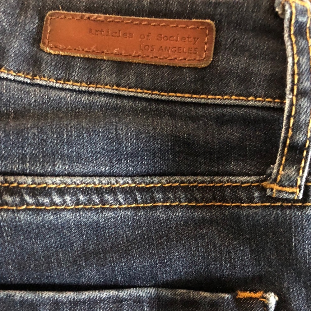 Articles of Society denim skinny jeans